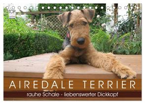 Airedale Terrier (Tischkalender 2024 DIN A5 quer), CALVENDO Monatskalender von Rottmann,  Gaby