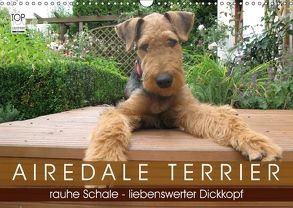 Airedale Terrier (Wandkalender 2018 DIN A3 quer) von Rottmann,  Gaby