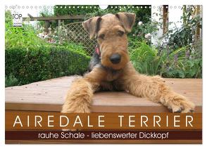 Airedale Terrier (Wandkalender 2024 DIN A3 quer), CALVENDO Monatskalender von Rottmann,  Gaby