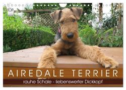 Airedale Terrier (Wandkalender 2024 DIN A4 quer), CALVENDO Monatskalender von Rottmann,  Gaby