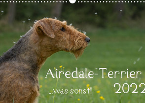 Airedale-Terrier, was sonst! (Wandkalender 2022 DIN A3 quer) von Janz,  Michael