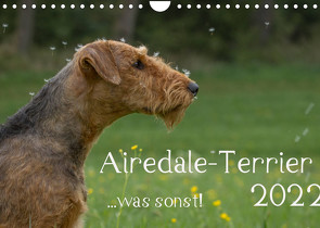 Airedale-Terrier, was sonst! (Wandkalender 2022 DIN A4 quer) von Janz,  Michael