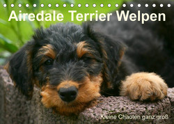 Airedale Terrier Welpen (Tischkalender 2023 DIN A5 quer) von Milau,  Susan