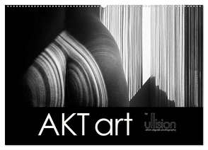 AKT art (Wandkalender 2024 DIN A2 quer), CALVENDO Monatskalender von Allgaier (www.ullision.de),  Ulrich