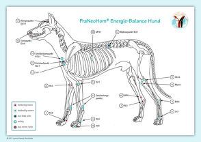Akupunktur-Tafel Hund von Bassols Rheinfelder,  Layena