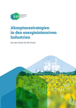 Akzeptanzstrategien in den energieintensiven Industrien