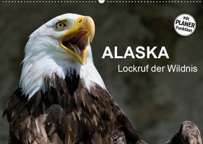 Alaska – Lockruf der Wildnis (Wandkalender 2019 DIN A2 quer) von Wilczek,  Dieter-M.