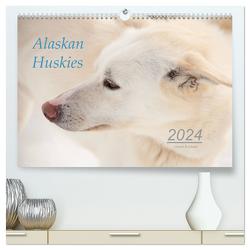 Alaskan Huskies (hochwertiger Premium Wandkalender 2024 DIN A2 quer), Kunstdruck in Hochglanz von & Urbach,  Urbach