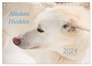 Alaskan Huskies (Tischkalender 2024 DIN A5 quer), CALVENDO Monatskalender von & Urbach,  Urbach