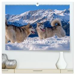 Alaskan Malamute in seinem Element (hochwertiger Premium Wandkalender 2024 DIN A2 quer), Kunstdruck in Hochglanz von Wuffclick-pic,  Wuffclick-pic