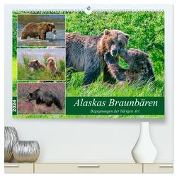Alaskas Braunbären – Begegnungen der bärigen Art (hochwertiger Premium Wandkalender 2024 DIN A2 quer), Kunstdruck in Hochglanz von Wilczek,  Dieter