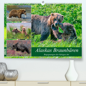 Alaskas Braunbären – Begegnungen der bärigen Art (Premium, hochwertiger DIN A2 Wandkalender 2023, Kunstdruck in Hochglanz) von Wilczek,  Dieter