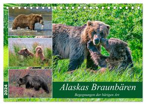 Alaskas Braunbären – Begegnungen der bärigen Art (Tischkalender 2024 DIN A5 quer), CALVENDO Monatskalender von Wilczek,  Dieter
