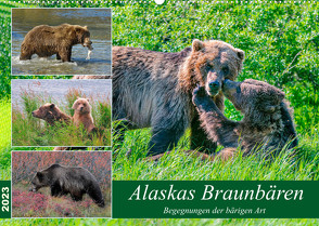 Alaskas Braunbären – Begegnungen der bärigen Art (Wandkalender 2023 DIN A2 quer) von Wilczek,  Dieter
