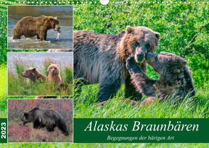 Alaskas Braunbären – Begegnungen der bärigen Art (Wandkalender 2023 DIN A3 quer) von Wilczek,  Dieter