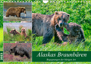 Alaskas Braunbären – Begegnungen der bärigen Art (Wandkalender 2023 DIN A4 quer) von Wilczek,  Dieter