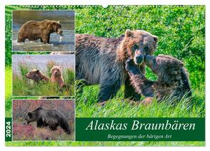 Alaskas Braunbären – Begegnungen der bärigen Art (Wandkalender 2024 DIN A2 quer), CALVENDO Monatskalender von Wilczek,  Dieter