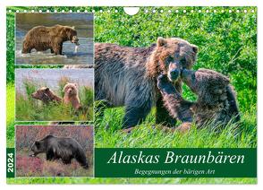 Alaskas Braunbären – Begegnungen der bärigen Art (Wandkalender 2024 DIN A4 quer), CALVENDO Monatskalender von Wilczek,  Dieter
