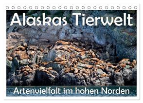 Alaskas Tierwelt – Artenvielfalt im hohen Norden (Tischkalender 2024 DIN A5 quer), CALVENDO Monatskalender von Wilczek,  Dieter