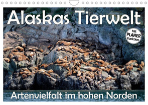 Alaskas Tierwelt – Artenvielfalt im hohen Norden (Wandkalender 2022 DIN A4 quer) von Wilczek,  Dieter-M.