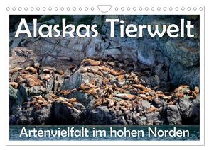 Alaskas Tierwelt – Artenvielfalt im hohen Norden (Wandkalender 2024 DIN A4 quer), CALVENDO Monatskalender von Wilczek,  Dieter