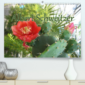 Albert Schweitzer Zitate (Premium, hochwertiger DIN A2 Wandkalender 2022, Kunstdruck in Hochglanz) von Lindner (Fotos),  M.