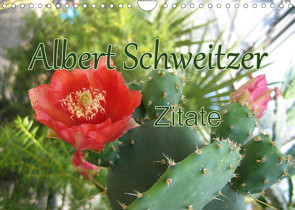 Albert Schweitzer Zitate (Wandkalender 2022 DIN A4 quer) von Lindner (Fotos),  M.