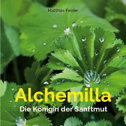 Alchemilla von Felder,  Matthias