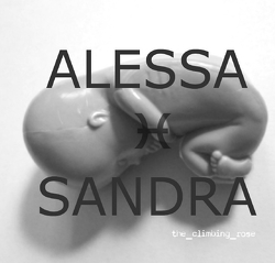Alessa Sandra von (Autorin),  the_climbing_rose