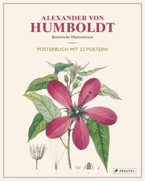 Alexander von Humboldt: Botanische Illustrationen. Posterbuch mit 22 Postern von Baume,  Prof. Dr. Otfried
