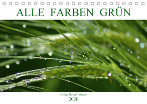 Alle Farben Grün (Tischkalender 2020 DIN A5 quer) von Fotokullt, Kull,  Isabell