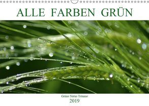 Alle Farben Grün (Wandkalender 2019 DIN A3 quer) von Fotokullt, Kull,  Isabell