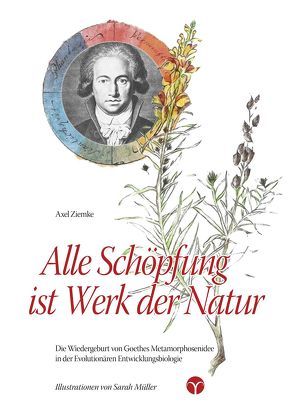 Alle Schöpfung ist Werk der Natur von Ziemke,  Axel