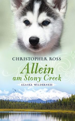 Allein am Stony Creek von Ross,  Christopher