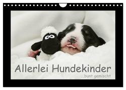 Allerlei Hundekinder (Wandkalender 2024 DIN A4 quer), CALVENDO Monatskalender von Köntopp,  Kathrin