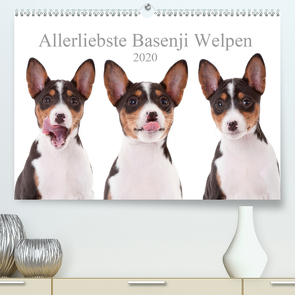 Allerliebste Basenji Welpen 2020 (Premium, hochwertiger DIN A2 Wandkalender 2020, Kunstdruck in Hochglanz) von Joswig,  Angelika