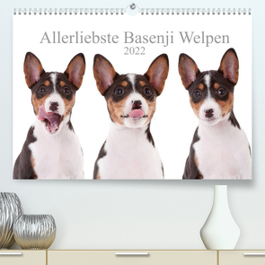 Allerliebste Basenji Welpen 2022 (Premium, hochwertiger DIN A2 Wandkalender 2022, Kunstdruck in Hochglanz) von Joswig,  Angelika