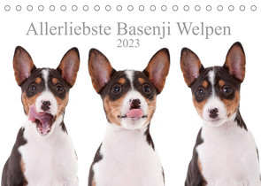 Allerliebste Basenji Welpen 2023 (Tischkalender 2023 DIN A5 quer) von Joswig,  Angelika