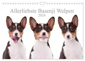 Allerliebste Basenji Welpen 2024 (Wandkalender 2024 DIN A4 quer), CALVENDO Monatskalender von Joswig,  Angelika