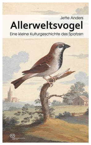 Allerweltsvogel von Anders,  Jette