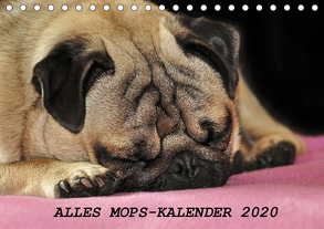 Alles Mops-Kalender 2020 (Tischkalender 2020 DIN A5 quer) von Hofmann,  Sonja