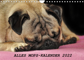 Alles Mops-Kalender 2022 (Wandkalender 2022 DIN A4 quer) von Hofmann,  Sonja