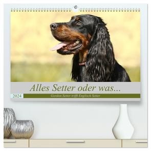 Alles Setter oder was (hochwertiger Premium Wandkalender 2024 DIN A2 quer), Kunstdruck in Hochglanz von Bea Müller,  Hundefotografie