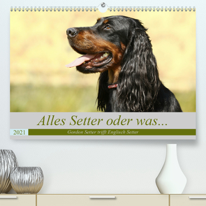 Alles Setter oder was (Premium, hochwertiger DIN A2 Wandkalender 2021, Kunstdruck in Hochglanz) von Bea Müller,  Hundefotografie