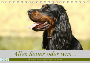 Alles Setter oder was (Tischkalender 2021 DIN A5 quer) von Bea Müller,  Hundefotografie