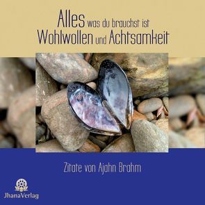 Alles was du brauchst ist Wohlwollen und Achtsamkeit von Bodhidhaja,  Bhante, Brahm,  Ajahn