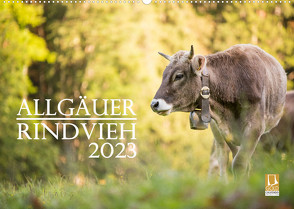 Allgäuer Rindvieh 2023 (Wandkalender 2023 DIN A2 quer) von Wandel,  Juliane