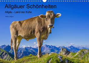 Allgäuer Schönheiten Allgäu – Land der Kühe (Wandkalender 2021 DIN A3 quer) von G. Allgöwer,  Walter