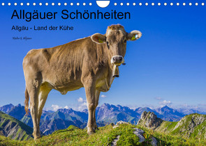 Allgäuer Schönheiten Allgäu – Land der Kühe (Wandkalender 2022 DIN A4 quer) von G. Allgöwer,  Walter