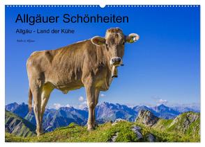 Allgäuer Schönheiten Allgäu – Land der Kühe (Wandkalender 2024 DIN A2 quer), CALVENDO Monatskalender von G. Allgöwer,  Walter